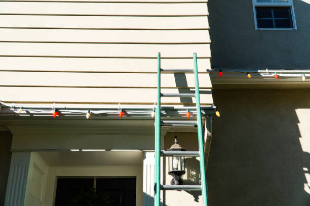 Best Steel Siding Installation  in Sunland Park, NM