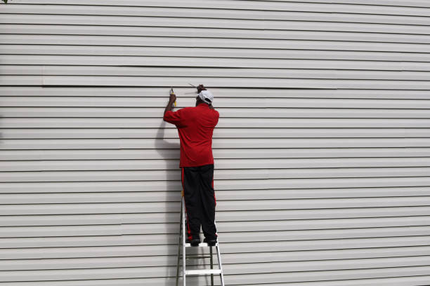 Best Siding Painting and Refinishing  in Sunland Park, NM