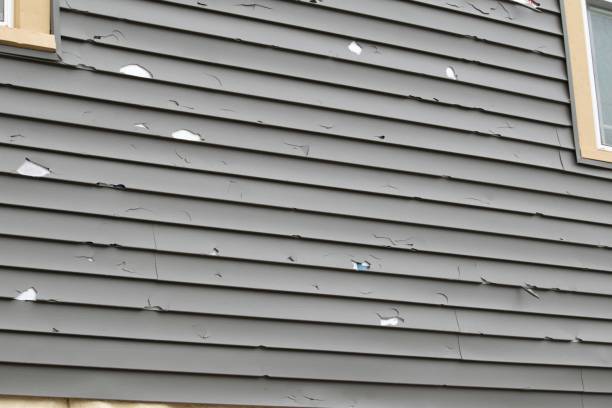 Best Aluminum Siding Installation  in Sunland Park, NM